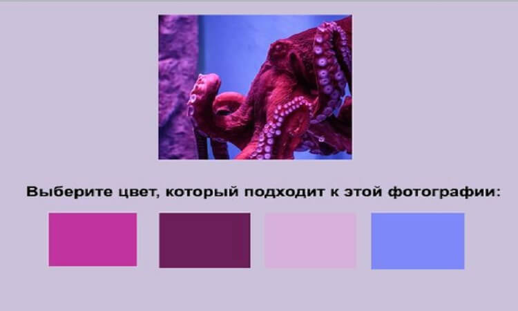 Немецкий порядок или цветочный тест на честность